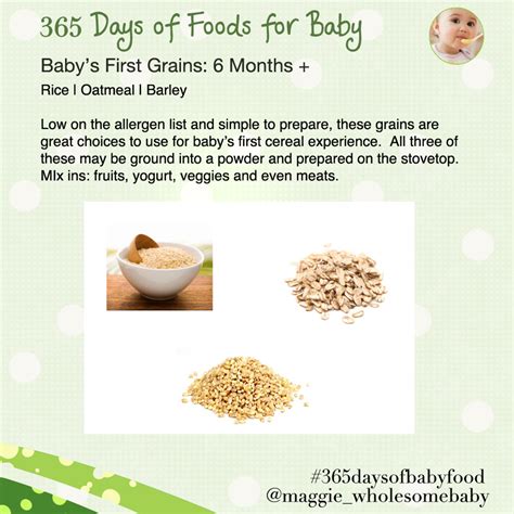 Day First Grains For Baby Days Of Baby Food Wholesome Baby