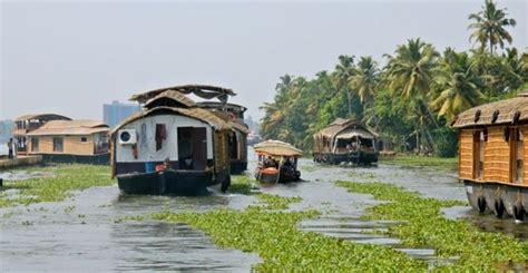 17 Best Things To Do In Kerala India Things To Do Good Things Kerala India Canal Adventure