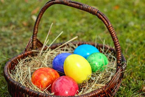 Image paques-7 : Free picture : basket, egg, food, colorful, colors, grass ...
