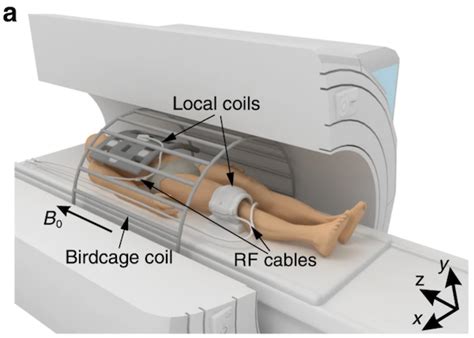 Ceramic Resonators Allow For Targeted Clinical Magnetic Resonance