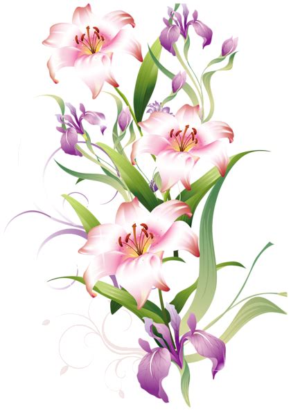 Bunga, bunga, bunga, bunga poppy merah muda dengan latar belakang biru, merangkai bunga, cabang png. Gambar PNG: Gambar Bunga Vector Png