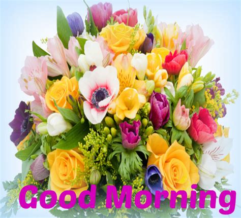 Even in a digital form, the beauty of flowers has a power to cheer us up and make our day. Fresh Flowers Of Morning For You! Free Good Morning eCards ...