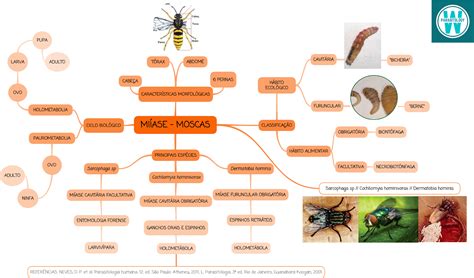 Ectoparasitas E Suas Patologias