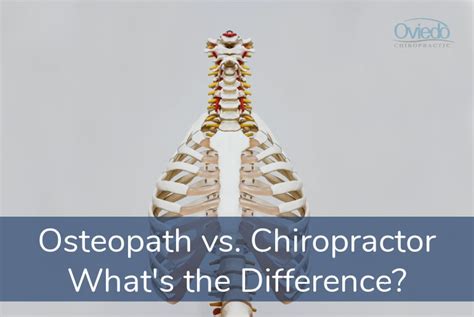 Osteopath Vs Chiropractor Whats The Difference Oviedo Chiropractic