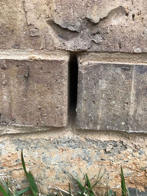 critter-control-houston-exclusionw-weep-hole | Pest | Critter | Control