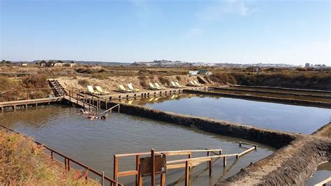 Check spelling or type a new query. Salinas de Castro Marim: SPA Salino Água Mãe - Algarve ...
