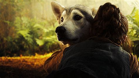Arya Arya Stark Dire Wolf Direwolf Dog Animated  237391 On