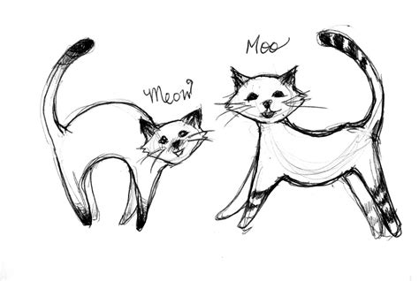 Cow cats are black and white cats with markings that make them look like mini holstein cows. Yogi Dance | Yoga. Dance. Circus arts.: Drawing: Cats ...