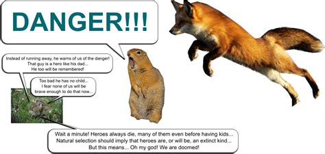 Fitness and selection research papers