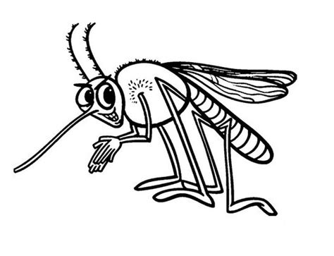 Desenhos Do Mosquito Da Dengue Para Colorir E Imprimir Online 65514