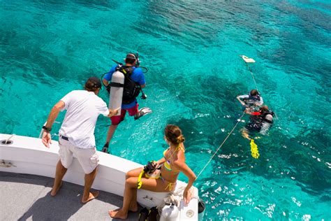 Best Nassau Scuba Diving Sites And Nassau Shark Dives