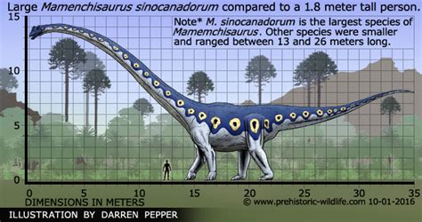 Mamenchisaurus Prehistoric Life Wiki Fandom Powered By Wikia