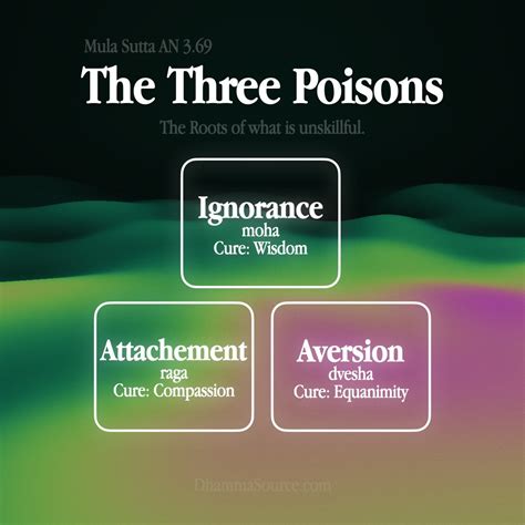 The Three Poisons Buddhism Dhamma Source