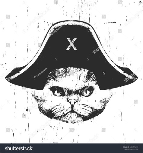 Pirate Cat Images Stock Photos And Vectors Shutterstock
