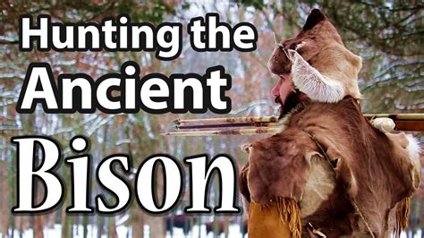 Hunting The Ancient Bison Primitive Hunting With The Atlatl