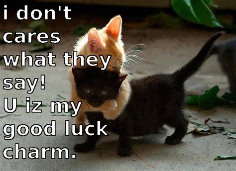 Maybe you would like to learn more about one of these? Good Luck Cat Quotes. QuotesGram