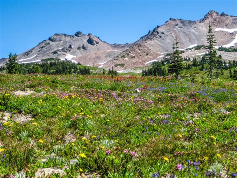 Snowgrass Flat And Goat Lake Basin — The Mountaineers