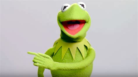 Kermit Wallpapers Top Free Kermit Backgrounds Wallpaperaccess