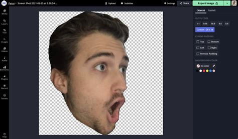 How To Make Your Own Twitch Emotes For Free