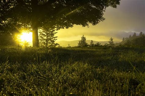 Morning Dew And Sunrise On The Bue Ridge Parkway Smithsonian Photo