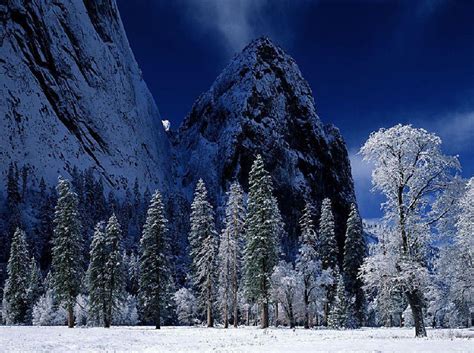 Winter Screensavers And Wallpapers Wallpaper Cave