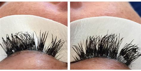 Volume Lashes Vs Clusterwhats The Difference Bella Lash Blog