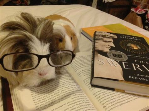 Pin On Animals Reading Books