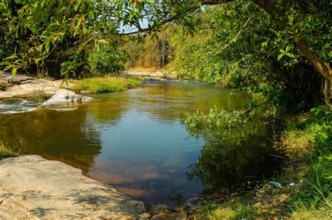 Free Images Tree Nature Forest Creek Wilderness Leaf Lake Pond