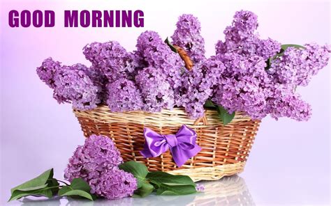 Share an emotional and sincere good morning wishes with flowers images would surely make the day special for your loved ones. Sending U Beautiful Flowers On Good Morning