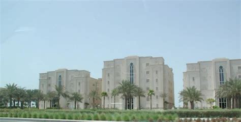 Abu Dhabi Engages All Five Senses Wild Ozark
