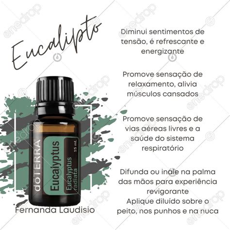Eucalipto Doterra Smell Good Essential Oils