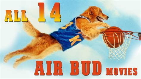 So let's kick off 2015 with all the furry goodness your hungover brain can handle. AIR BUD: All 14 Movies - YouTube
