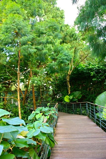 Covered In Stardust National Orchid Garden Singapore Botanic Gardens