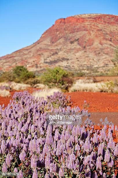 Pilbara Mining Photos And Premium High Res Pictures Getty Images