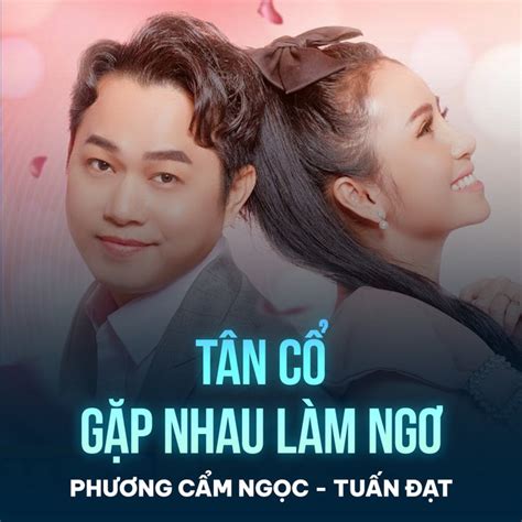 Tân Cổ Gặp Nhau Làm Ngơ Song And Lyrics By Phuong Cam Ngoc Tuấn Đạt Spotify