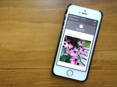 You can also get notified of severe weather. The Best Gardening Apps | HGTV