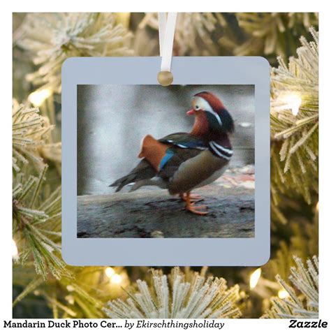 Mandarin Duck Photo Ceramic Ornament Zazzle Ceramic Ornaments Duck