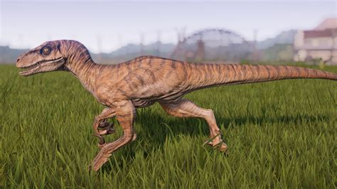 Velociraptor Jurassic World Evolution Wiki Fandom Jurassic World Jurassic Park Movie