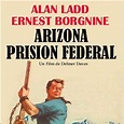 Arizona, prisión federal : Fotos y carteles - SensaCine.com