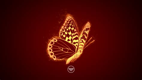 Fire Butterfly By Luffydzn On Deviantart