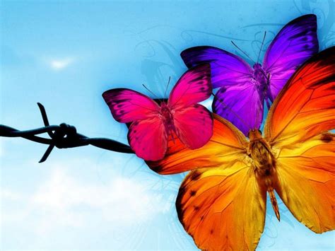 49 Free Butterfly Wallpaper Animated Wallpapersafari