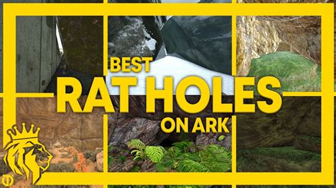 BEST RAT HOLES On ARK Each Map ARK Survival Evolved YouTube