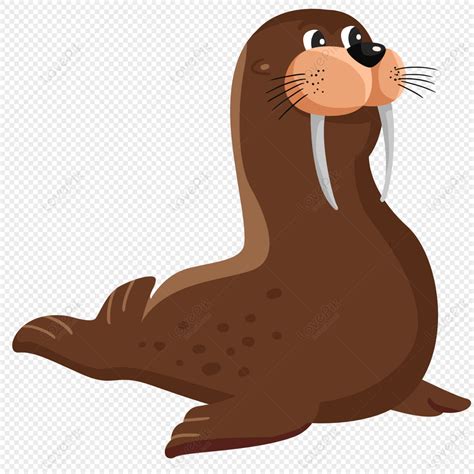 Top 123 Sea Lion Images Cartoon