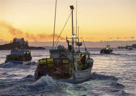 More Than 1500 Boats Set Off As Lobster Season Opens In Southwestern