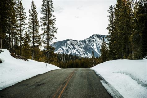 Empty Road With Snow Covered Landscape · Free Stock Photo