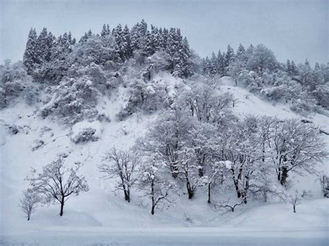 Snow Country Trek Walk Japan Guided Tours