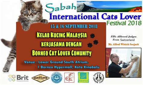 Kkm means kelab kucing malaysia. The Official Site of Kelab Kucing Malaysia (KKM) - Home ...