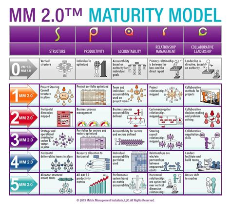 Project Management Maturity Model Digital Business Tr