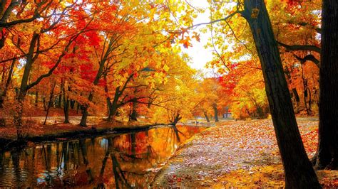 Autumn Trees Water Wallpapers Wallpaper Cave