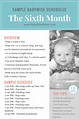 6 Month Old Feeding Schedule | Examples and Forms